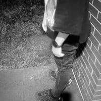 TikTok Account - demicapalxtt