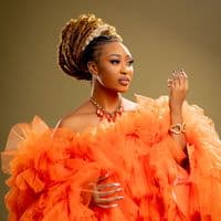 TikTok Account - tiannazambia