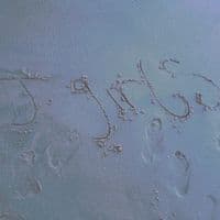 TikTok Account - johnnygirls0