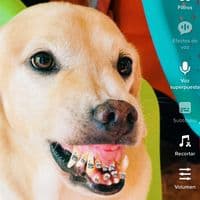 TikTok Account - mariomorales535