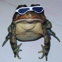 TikTok Account - godzander