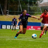 TikTok Account - emi.fierro10