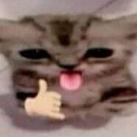 TikTok Account - wilbe_andyall