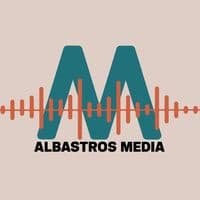 TikTok Account - albastrosmedia