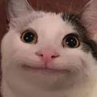 TikTok Sound - original sound - π² πͺ π² πͺ π¨ π¦ πΉπΌπΈ