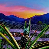 TikTok Account - angel..gonzalez5710