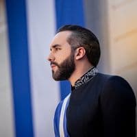 nayibbukele