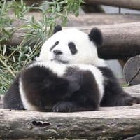 TikTok Account - beforeyds101918