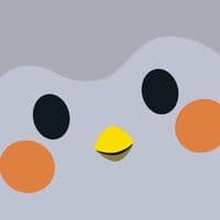 TikTok Account - finchcare