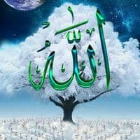 TikTok Account - issouf.0576