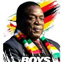 TikTok Account - boyz.dzamdara