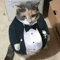 TikTok Account - lookingforsome69