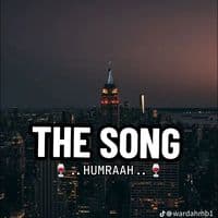 TikTok Account - voice_note_for_yo