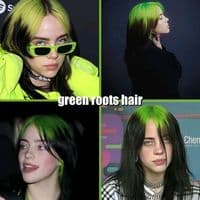 TikTok Account - billie.eilish.fan295