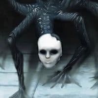 TikTok Account - _soggy_nugget_