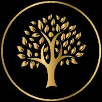 TikTok Account - inspirateacrecer