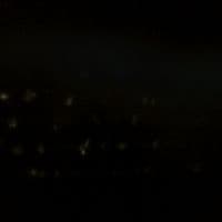 TikTok Account - kimglmx