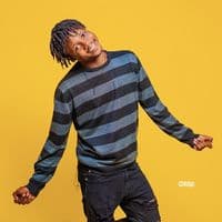 TikTok Account - toufans