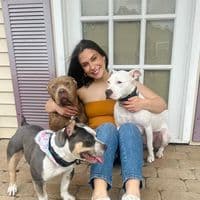 TikTok Account - abiiclavier