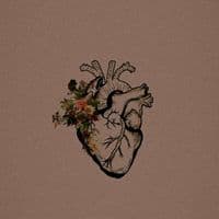 TikTok Account - aa__a74