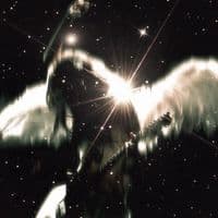 TikTok Account - lyrically_20