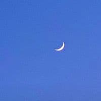 TikTok Account - tr0picaudios