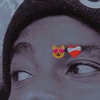 TikTok Account - flamingobenizer