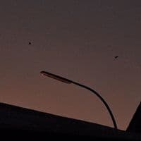 TikTok Account - i.d0n.tknow