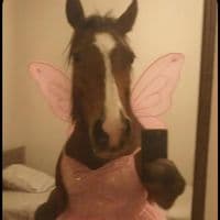 TikTok Account - tunestooturnt