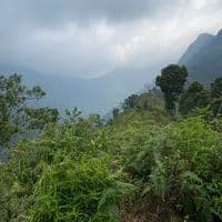 TikTok Account - chickenkatsu67