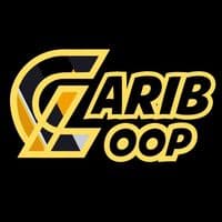 TikTok Account - caribloop