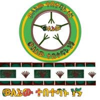 TikTok Account - tebetebanu