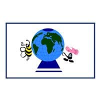 TikTok Account - jollyland.school