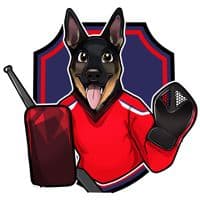 TikTok Account - maggiethegoalie