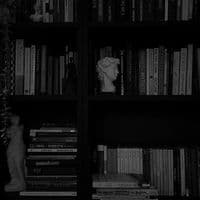 TikTok Account - soul__sync