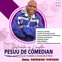 pesuudecomedian