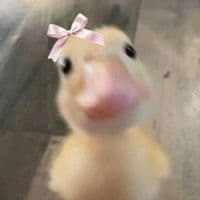 TikTok Account - sal116738