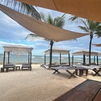 TikTok Account - memelord_64