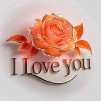 TikTok Account - pfroms