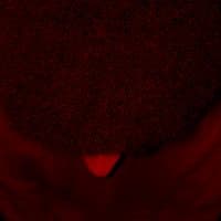 TikTok Account - yasir_00011