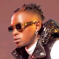 TikTok Account - wispagenno