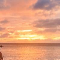 TikTok Account - ry1eeyoung