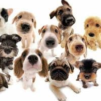 TikTok Account - ad_tnss