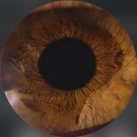 TikTok Account - astrilys_.010