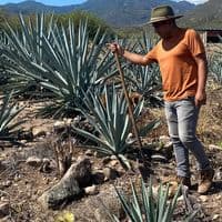 TikTok Account - jazielmp1406