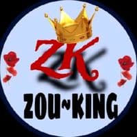 TikTok Account - zouking69