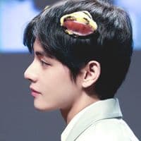 TikTok Account - qqintaetaeland