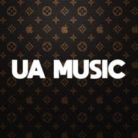 TikTok Account - ua.music.hits