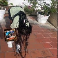 TikTok Account - little_miss_solo