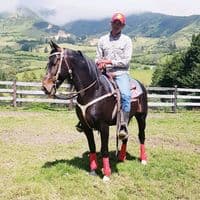 TikTok Account - melvis.sg